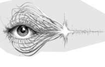 evizivox logo