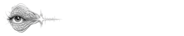 EVIZIVOX logo